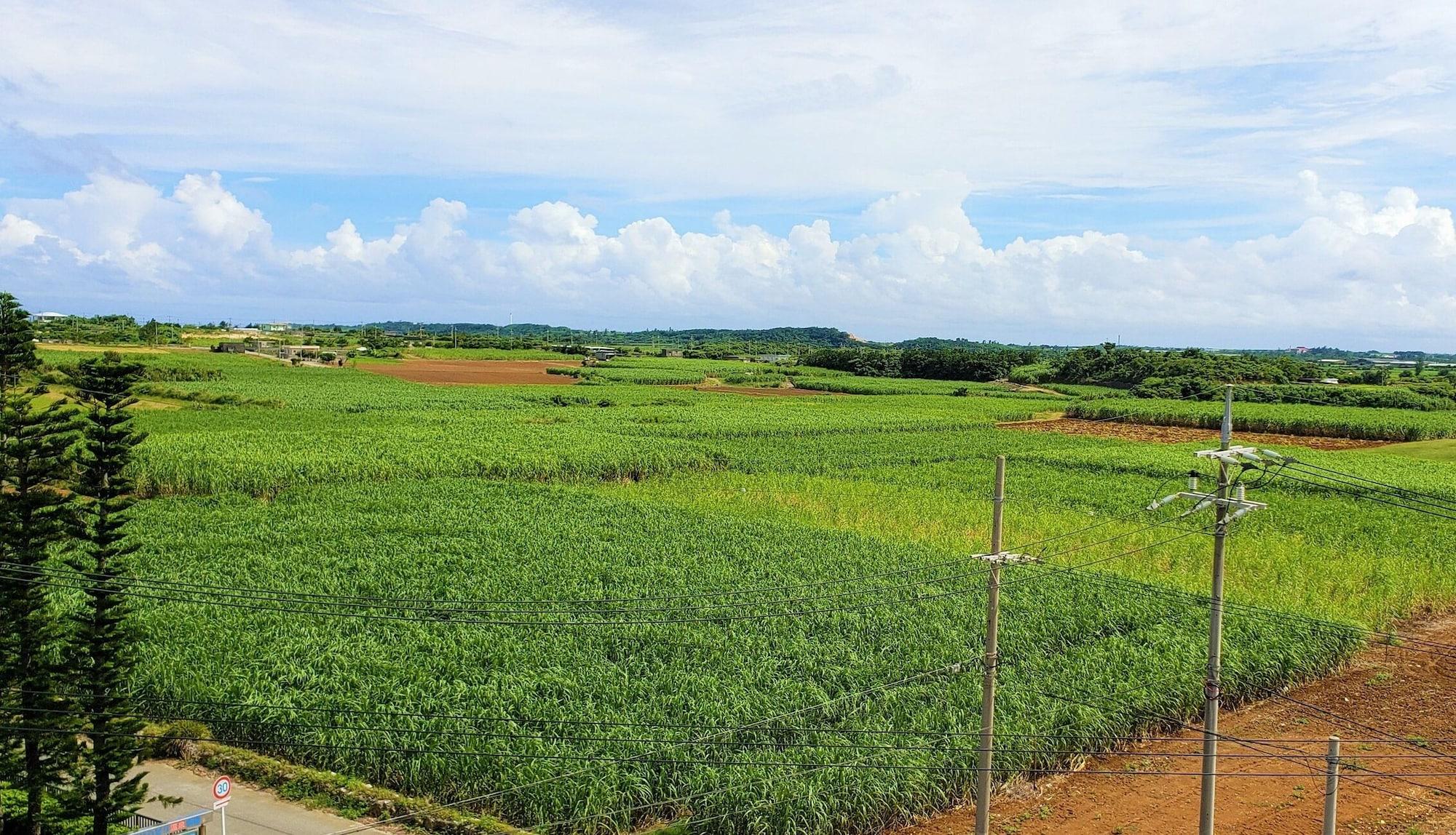 Hotel Castlevillage Miyakojima Ngoại thất bức ảnh